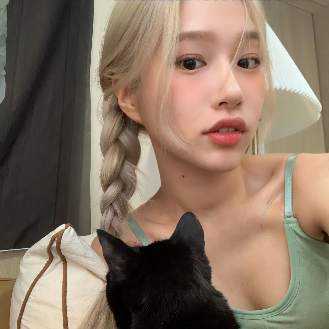 鲅鱼恋上猫
